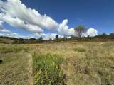 Lot 11 Willow Bend Lane - Photo 11