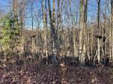 Lot 12 Pipestem Point - Photo 3