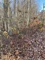 Lot 12 Pipestem Point - Photo 6
