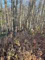 Lot 12 Pipestem Point - Photo 7