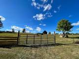 Lot 2 Rt 219 - Photo 2