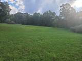  Tbd Muddy Creek Mountain Road - Photo 13