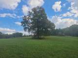  Tbd Muddy Creek Mountain Road - Photo 14