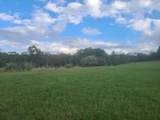 Tbd Muddy Creek Mountain Road - Photo 9