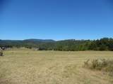 125o The Pines Drive - Photo 10