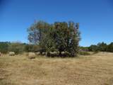 125o The Pines Drive - Photo 11