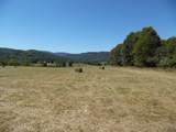 125o The Pines Drive - Photo 15