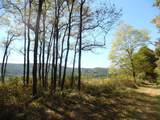 125o The Pines Drive - Photo 17