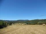 125o The Pines Drive - Photo 3