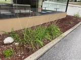 308 Main St - Photo 4