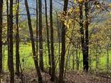 Lot 5 Hawthorne Valley Rd - Photo 5
