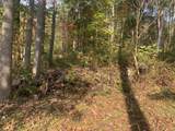  Lots A29 & A30 Jewell Ridge Ln - Photo 4