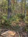  Lots A29 & A30 Jewell Ridge Ln - Photo 5