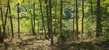 903 Bacon Falls Rd - Photo 10