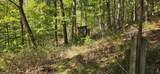903 Bacon Falls Rd - Photo 13