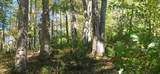 903 Bacon Falls Rd - Photo 15