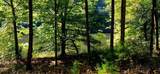 903 Bacon Falls Rd - Photo 21