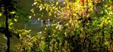 903 Bacon Falls Rd - Photo 27