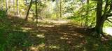903 Bacon Falls Rd - Photo 41