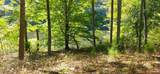 903 Bacon Falls Rd - Photo 44