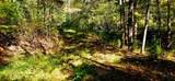 903 Bacon Falls Rd - Photo 46