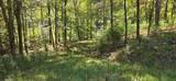 903 Bacon Falls Rd - Photo 5