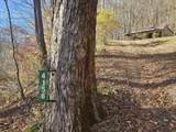 4156 Dry Branch Rd. - Photo 3