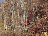 4156 Dry Branch Rd. - Photo 30