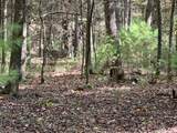  Asbury Trace - Photo 1