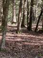  Asbury Trace - Photo 16