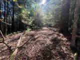  Asbury Trace - Photo 6