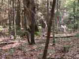  Asbury Trace - Photo 8