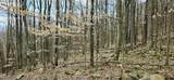 1180 Mingo Flats Rd - Photo 84