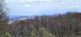 1180 Mingo Flats Rd - Photo 86