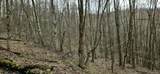 1180 Mingo Flats Rd - Photo 90