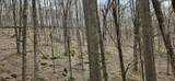 1180 Mingo Flats Rd - Photo 91