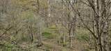 1180 Mingo Flats Rd - Photo 92