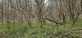 1180 Mingo Flats Rd - Photo 93