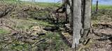 1180 Mingo Flats Rd - Photo 95