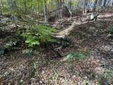  Raders Valley Road - Photo 34