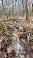 969 Simms Mountain Rd - Photo 19