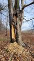 969 Simms Mountain Rd - Photo 20