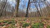 969 Simms Mountain Rd - Photo 21
