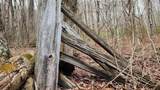 969 Simms Mountain Rd - Photo 22