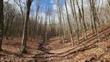 969 Simms Mountain Rd - Photo 23