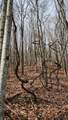 969 Simms Mountain Rd - Photo 24
