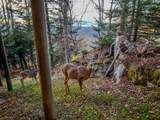 1029 West Ridge Rd - Photo 8