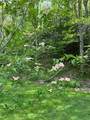 291 Montague Drive - Photo 49