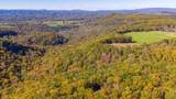  Muddy Creek Mountain Rd - Photo 1