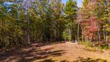  Muddy Creek Mountain Rd - Photo 13